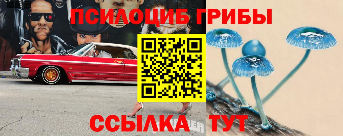 Златоуст  Галлюциногенные грибы Psilocybe  Вход с VPN 